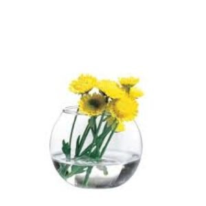 PASABAHCE FLORA 43407