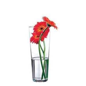 PASABAHCE BOTANICA VASE 43177