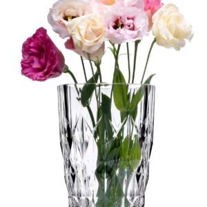 PASABAHCE LAVINIA VASE 68289